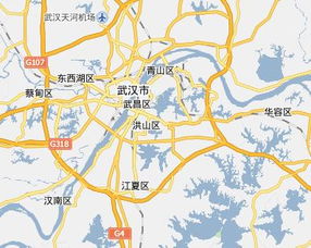 武汉分几个区