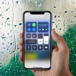 苹果7plus怎么升级ios11,苹果7如何升级ios11