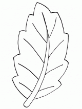 简笔画树叶画法步骤