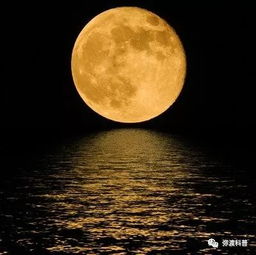 一个月的月亮每天都是什么样的?
