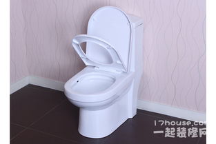 抽水马桶堵住了该怎么办