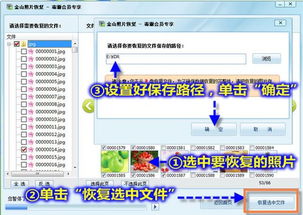 照片被删除了怎么恢复