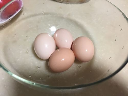 鸡蛋煮多久才会熟?