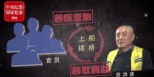 什么是政治引客