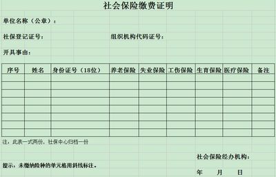 单位缴纳的养老保险去哪了