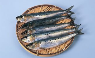 常见海鱼，常见海鱼有哪些