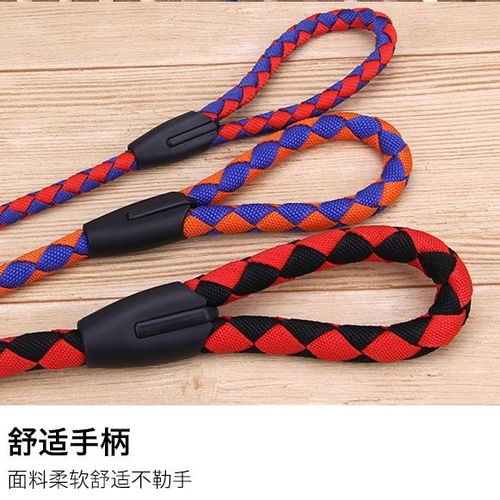猫咪牵引绳怎么套