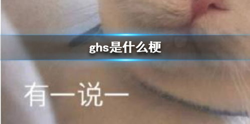 ghs网络语什么意思