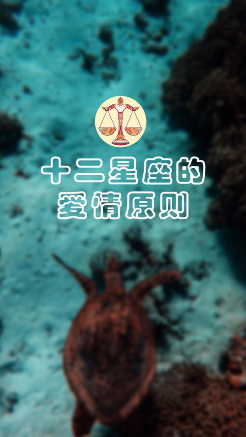 喜欢还是爱，喜欢还是爱怎么回答