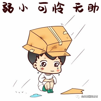 功课的意思功课的意思是什么