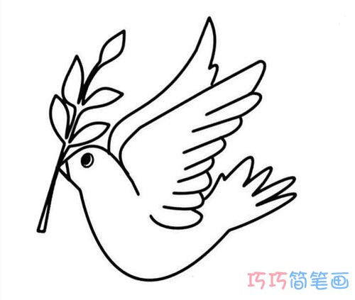 象征和平的鸽子怎么画