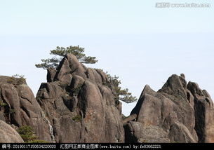黄山怪石，黄山怪石的介绍和名字