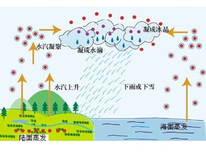 雨是怎么形成的