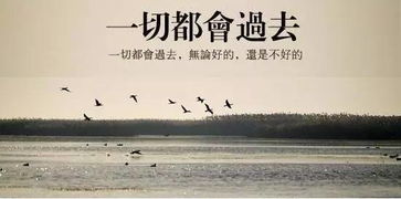 用春回大地的短句子
