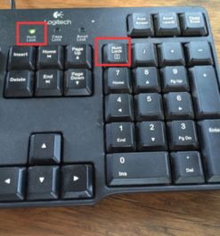 为什么电脑右边的的数字键不能用了?