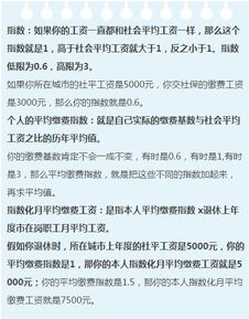 社保公司交的部分去哪了