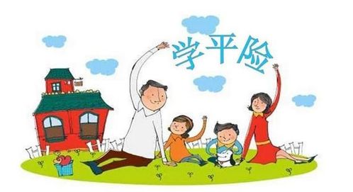 学平险是什么?