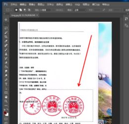 已经盖在纸上的红色印章有什么方法可以去掉?