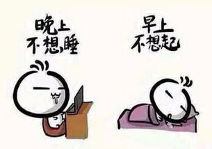 熬夜的人怎么调理