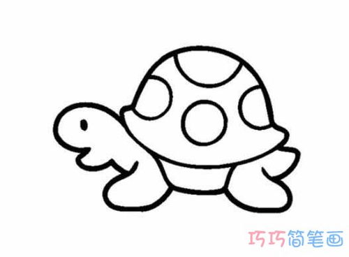 乌龟的简笔画怎么画