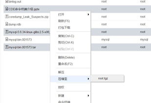 怎么解压文件