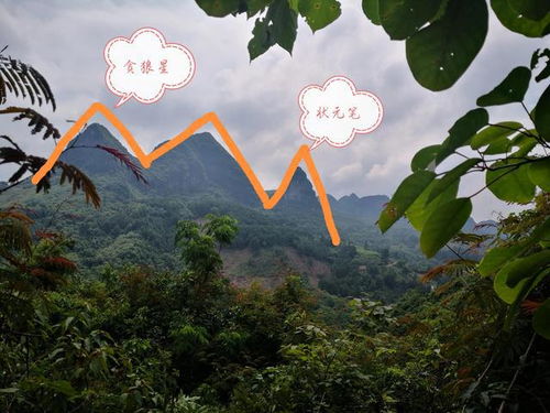 寻龙分金看缠山一重缠是一重关，寻龙分金看缠山一重缠是一重关全文
