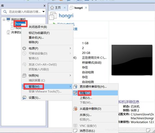 如何查看本机IP地址?