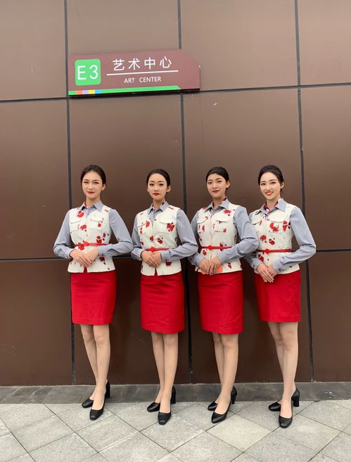 中国高铁乘务员招聘网，中国高铁乘务员招聘网官网