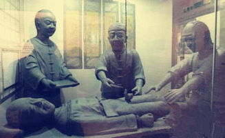 太监为什么要被净身，太监为什么要被净身割掉