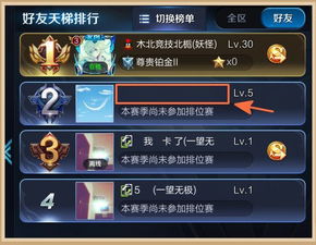 王者荣耀代码，王者荣耀代码空白