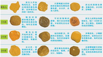 宝宝大便颜色浅黄是怎么回事