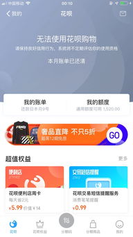 无法使用花呗购物是什么意思，无法使用花呗购物是什么意思呀