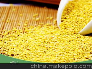 大米小米，大米小米儿童康复中心