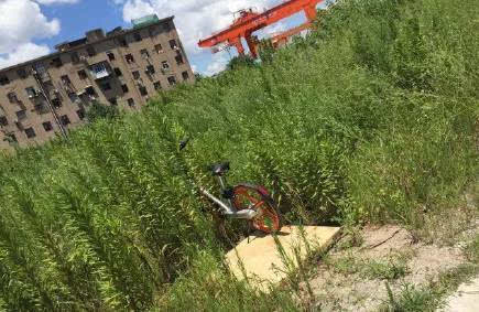 摩拜二维码被撕怎么骑，摩拜扫码