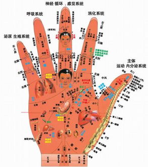脚大拇指上有什么穴位?