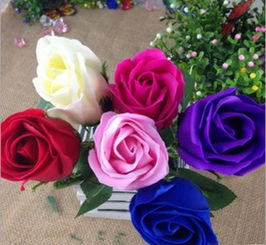 11朵玫瑰花代表什么意思