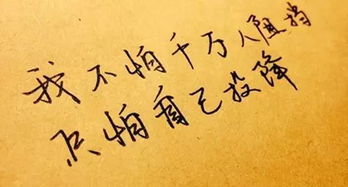 独在异乡为异客,后一句是什么?