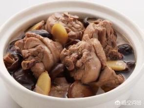 土鸡怎么炖才好吃