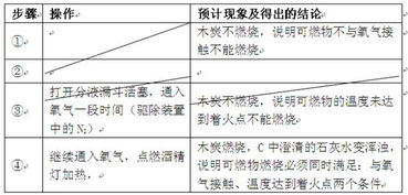 燃烧是一种发热发光的什么