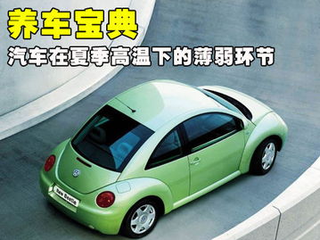 汽车宝典，汽车宝典下载