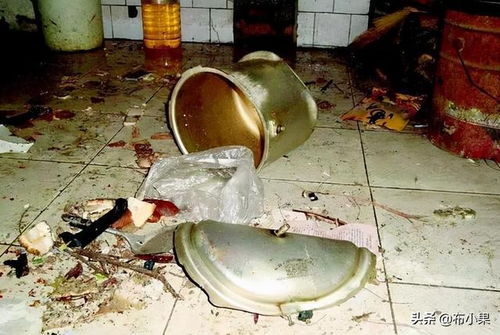 高压锅会不会爆炸，鸡蛋放高压锅会不会爆炸