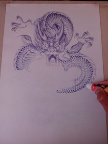 怎样用彩铅画飞龙国王