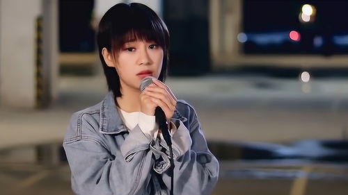 胡广生歌曲，胡广生歌曲意思