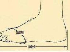 如何准确量脚的尺码?