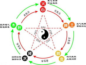 金木水火土各代表什么