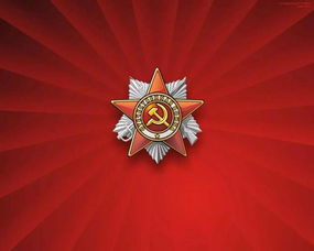 政治面貌代码，政治面貌代码怎么填