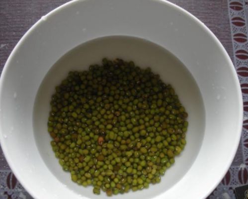 豆芽的生长过程记录，豆芽的生长过程图片
