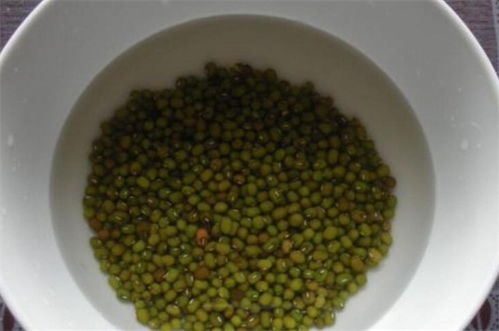 豆芽生长记录过程