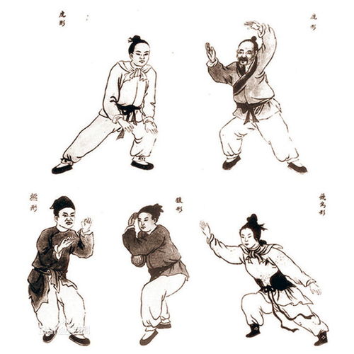 五禽戏是谁发明的?