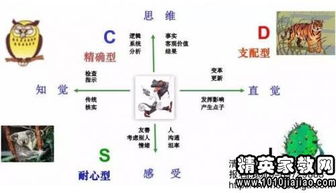 个人优点和优势怎么写